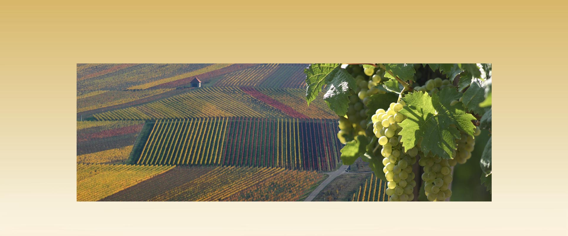 Esbachof Hotel Gastronomie Restaurant Freizeit Umgebung Radfahren Wandern